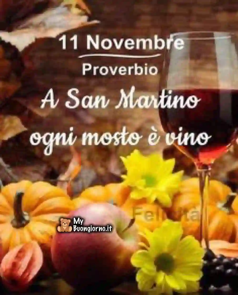San Martino 11 Novembre 146